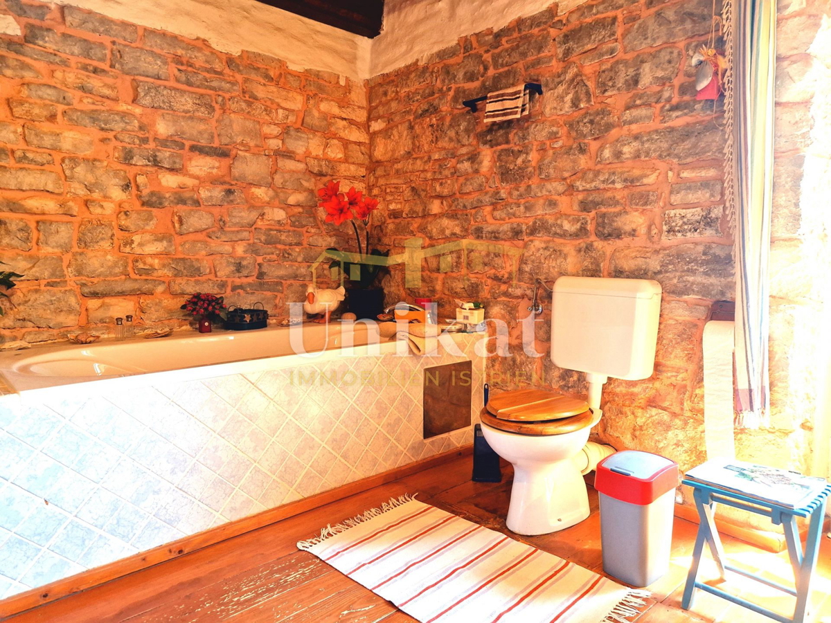 Avtentično posestvo s kamnito hišo in velikim zemljiščem